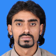 Muhammad Irshad, Sr. Network Engineer