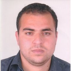 amine gammoudi