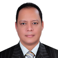 أحمد حسن, Service Delivery Manager