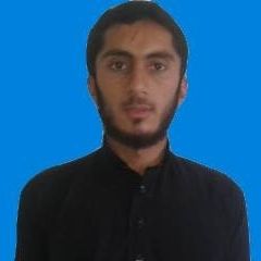 Muhammad Faisal, 