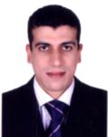 Mostafa Emara, Finacial Accountant
