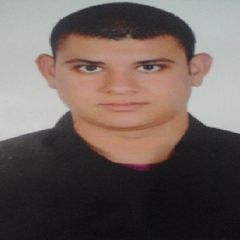 yehia mohamed kamal al din mohamed