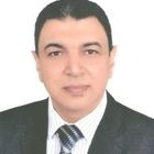 Ashraf S. Diab, Sales & Marketing Manager