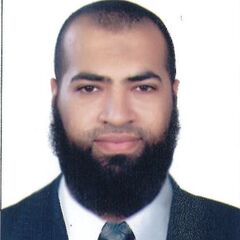 Mohamed  Fareed Sayed Elsanadely, Sales Manager