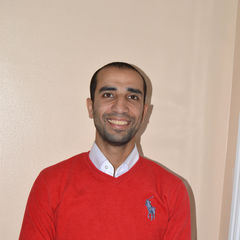 mahmoud salem, Section Head