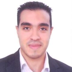 Mostafa Mohamed, Site engineer
