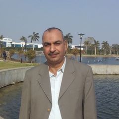 Mohamed Azmy, كاتب موارد بشرية