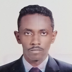 بدرالدين عبدالله  محمد احمد محمد, محاسب عام سوداني 