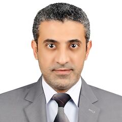 Mohamed Abdelaziz Amin Aboelfadl, Sales Manager