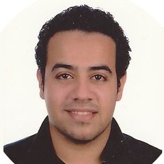 عمرو غانم, Architect