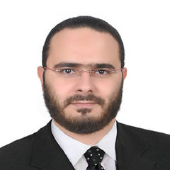 عمرو أنور, accountant 