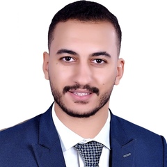 Ahmed Elsady, medical sales representative