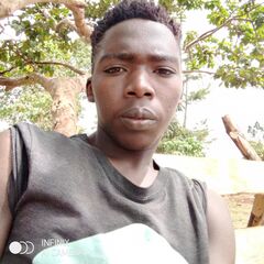 Haggai Letting