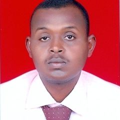wajdi mohammed, Attorney at Law