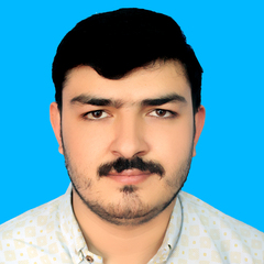 Syed hamza Ameer