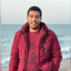 Mahmoud Sayed