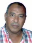 Mohamed Hassan, Project Manager