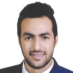 Ahmed Elsayed, Sales Senior