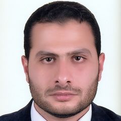 محمد عصام محمد عبد الوهاب عشماوى, BIM Manager & MEP Coordinator