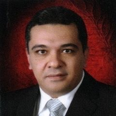 محمد حمدي, Area Sales Manager