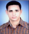 Ahmed Abdel Rahman, Security System Engineer
