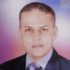 GAMAL MOHAMED AHMED ABDEL REHIM, Security Officer