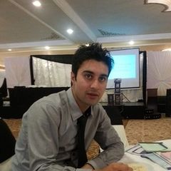 عامر Aflaq, Electrical Engineer