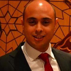 Mostafa Hussien Hammad, Internal control Head