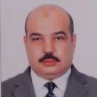 essam ahmed hamouda, Sales representative
