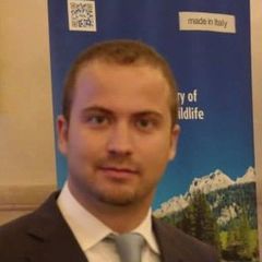 Fabrizio Puglisi, Tourism & Destination Marketing Consultant, Adjunct Professor, Speaker 