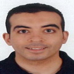 Ahmad Ragab, IT project manager