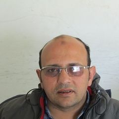 Amir Mohamed Abd El-sttar omer  Omer, section head