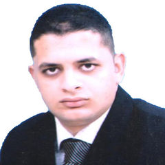 Mostafa Elmankabady, مدخل بيانات قيد الدعاوي وتسديد اجندات ورولات الجلسات 