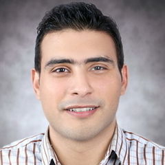 Mahmoud Bahnasi, Logistics coordinator
