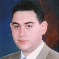 Hazem Mohamed Ahmed Abdulall, Accountant