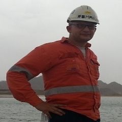 أحمد عبد العدل عبد الباسط محمد, Plant Metallurgist