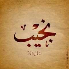 Nejib Drira