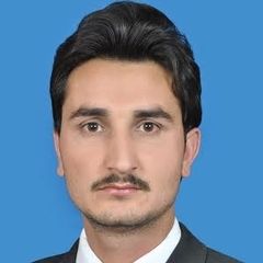 syed mohammad husnain, Hse officer