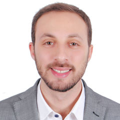 Ziad Elkarem, Sales engineer