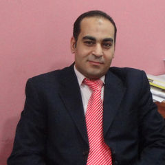 Al-Tohamy Sliem, Senior Architect and Projects Coordinator