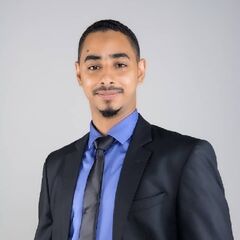محمود عوض الكريم , project Manager 
