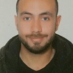 عمرو أحمد محمد سعيد, Accountant