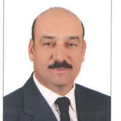 Wael Nagi, Accounting Manager
