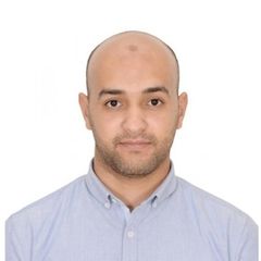 Hisham Yasser Qasim, Senior ERP Consultant & Business Solution