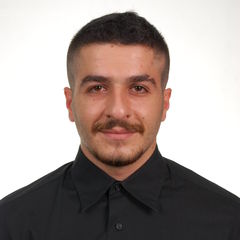 Khaldoun Abo Saeed, Research analyst