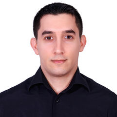Ammar Deeb, Team Leader assistant and Fraud analyst 