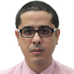Ismail Mohamed Omar Elghuwael, Paediatrician
