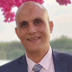 Youssef Rabie, Solutions Architect