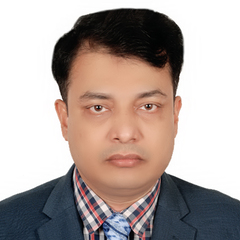 Mohammed Anamul  Hoque , Electrical Engineer