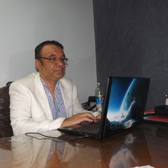 Mohamed Esmail, Business Development Consultant